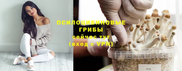 гашишное масло Няндома